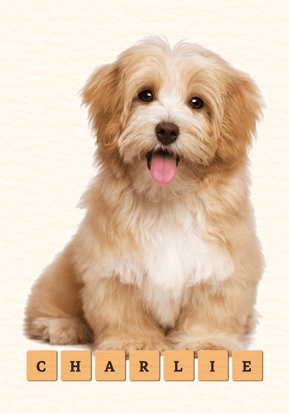 Pet Photo Frame Image