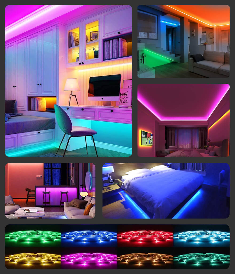 Single Color Neon Strip