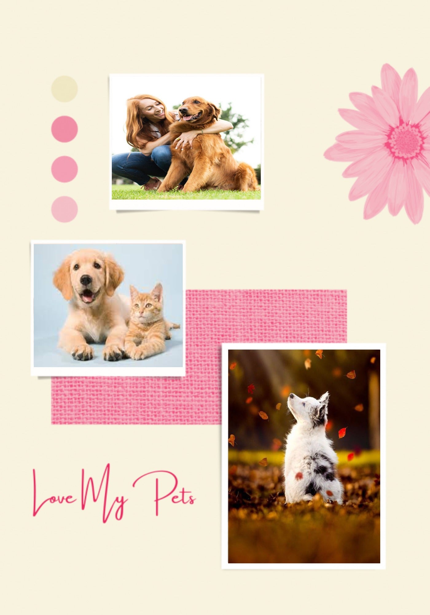 Personalized Pets Collage Frame | Wall Hanging Decor & Ideas