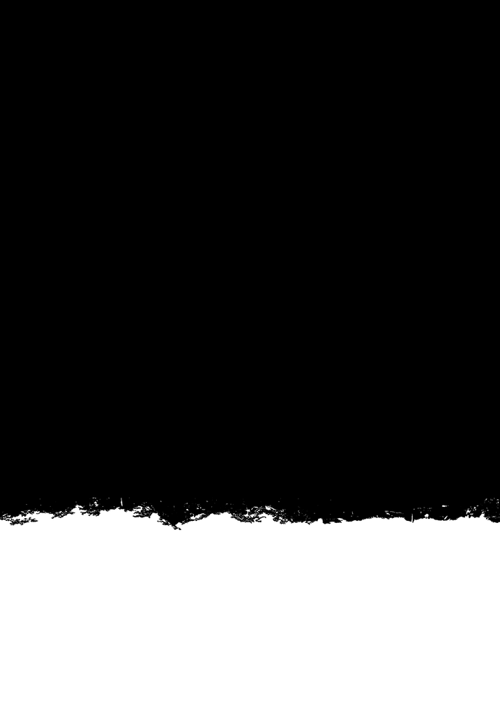 Canvas Image