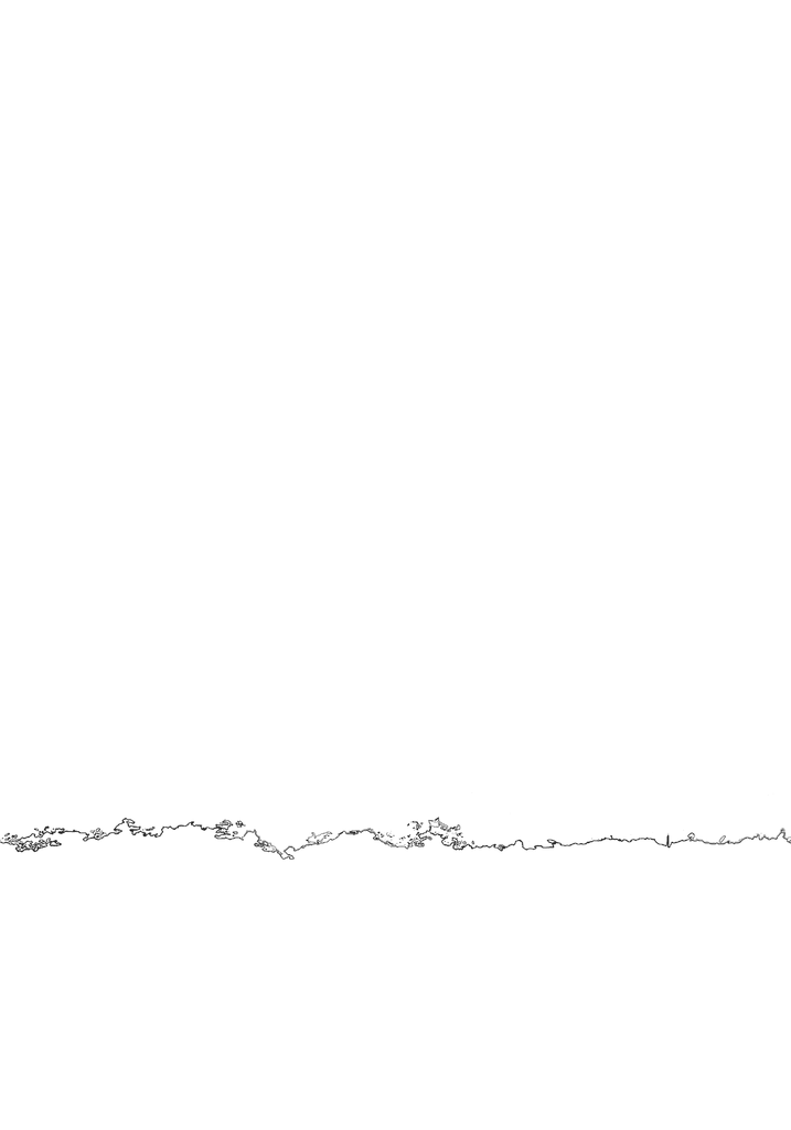 Canvas Image