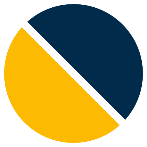 Navy & Yellow