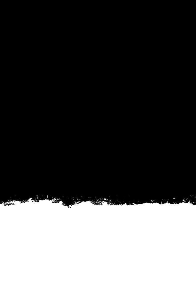 Canvas Image
